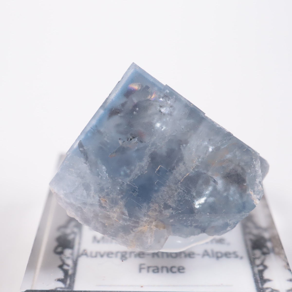 La Barre�ۻ���Outside Vein�˻� �ե����饤��