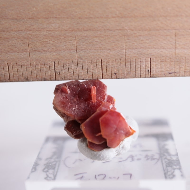 ����å������Хʥǥ��ʥ���