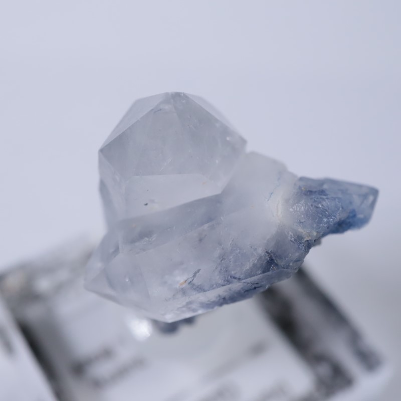 �֥饸�뻺���ǥ�������饤�ȥ��󥯥�����