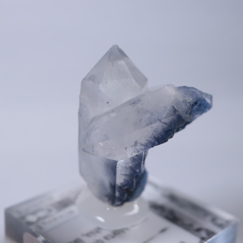 �֥饸�뻺���ǥ�������饤�ȥ��󥯥�����