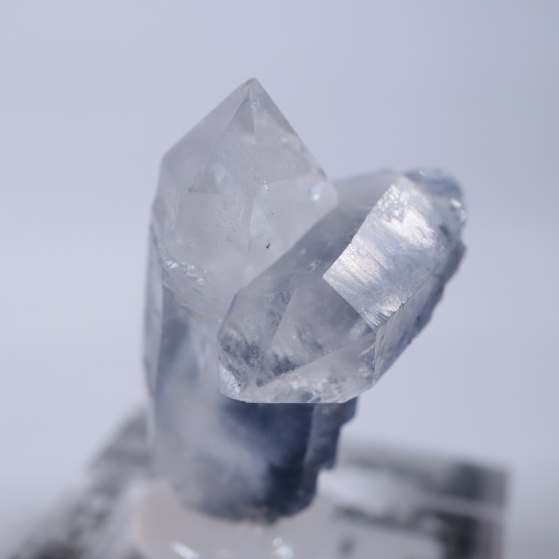 �֥饸�뻺���ǥ�������饤�ȥ��󥯥�����