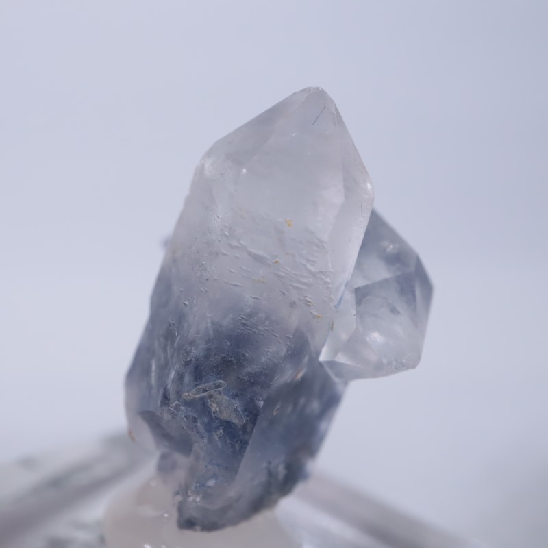 �֥饸�뻺���ǥ�������饤�ȥ��󥯥�����