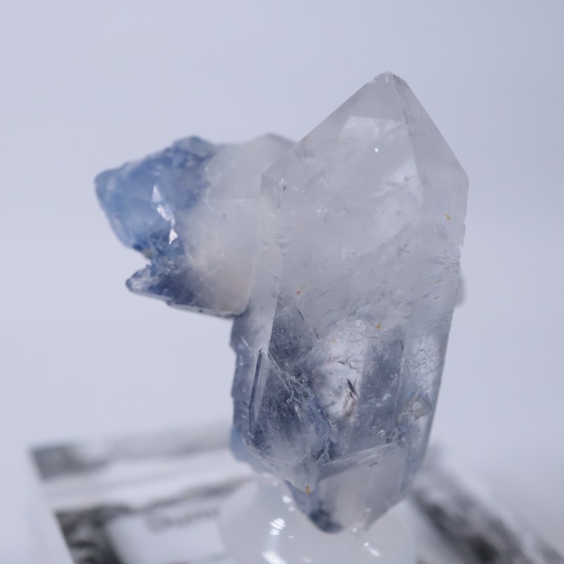 �֥饸�뻺���ǥ�������饤�ȥ��󥯥�����