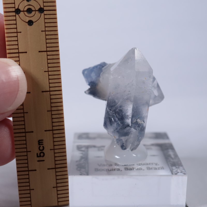 �֥饸�뻺���ǥ�������饤�ȥ��󥯥�����