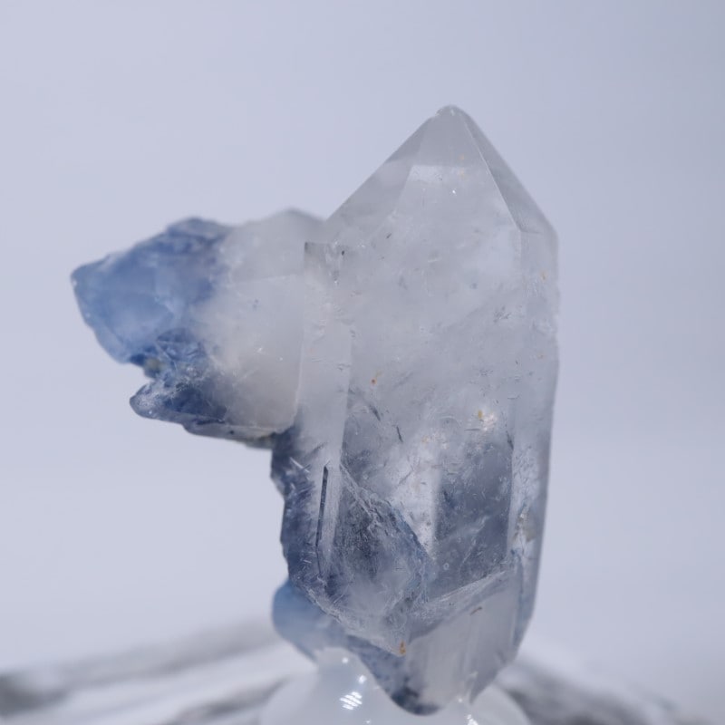 �֥饸�뻺���ǥ�������饤�ȥ��󥯥�����