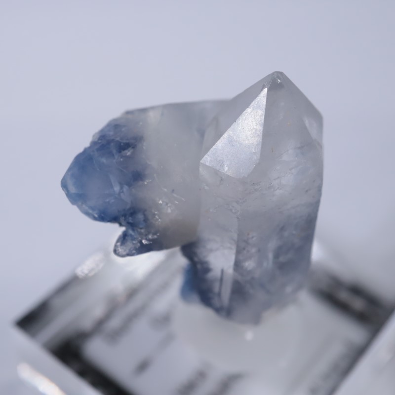 �֥饸�뻺���ǥ�������饤�ȥ��󥯥�����