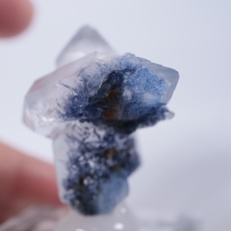 �֥饸�뻺���ǥ�������饤�ȥ��󥯥�����