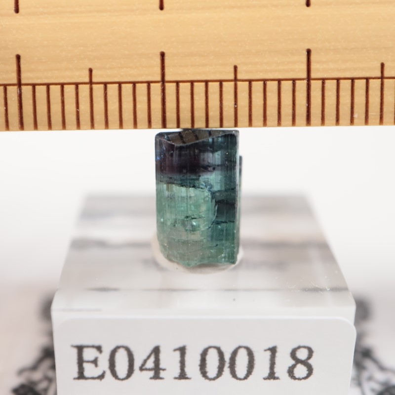 Santa Rosa鉱山 ブルーキャップトルマリン | 鉱物標本,タ行,トルマリン