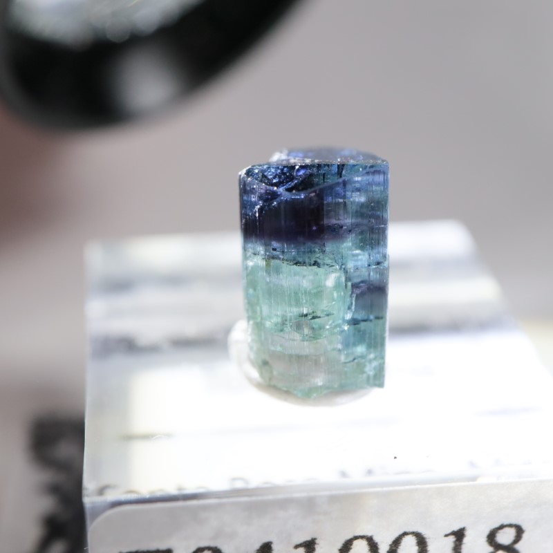 Santa Rosa鉱山 ブルーキャップトルマリン | 鉱物標本,タ行,トルマリン