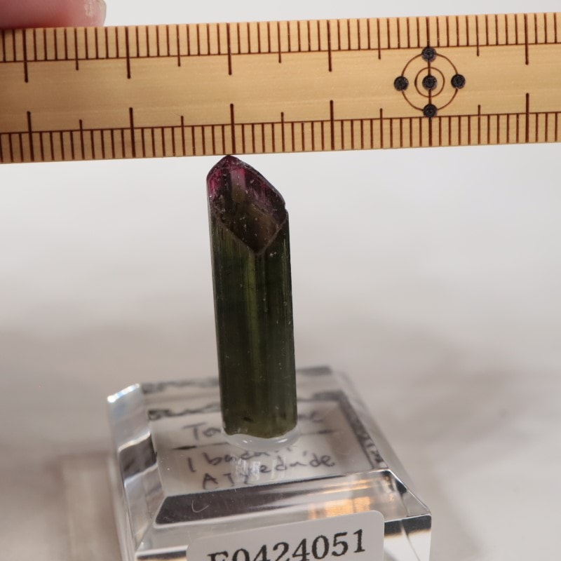 �ʥ������ꥢ�����ȥ�ޥ��