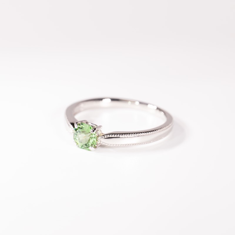 �ߥ�ȥ����ͥåȤλ���