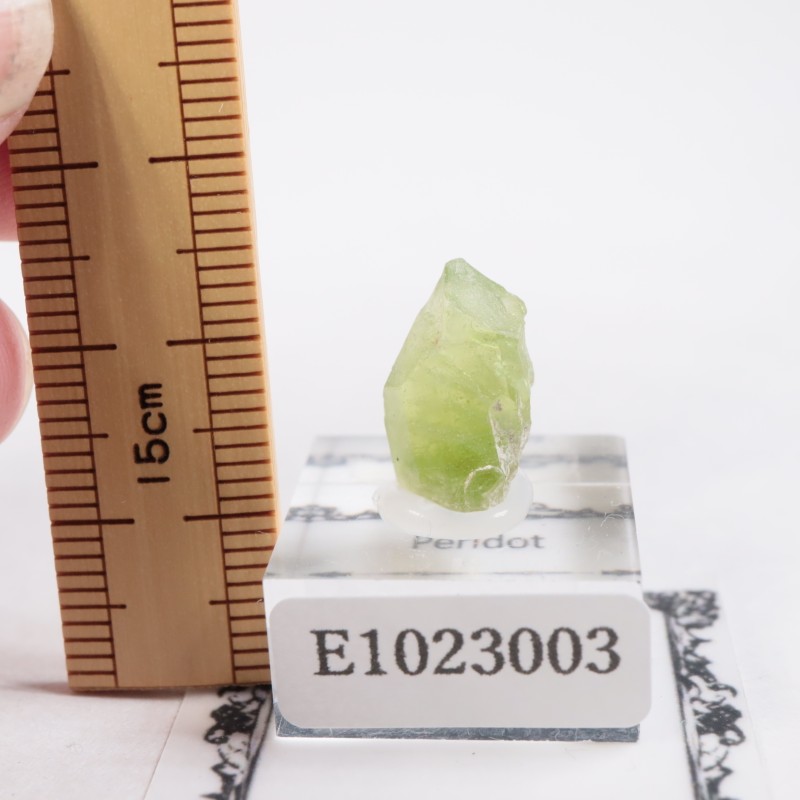 パキスタン産 ペリドット | 鉱物標本,ハ行,ペリドット/カンラン