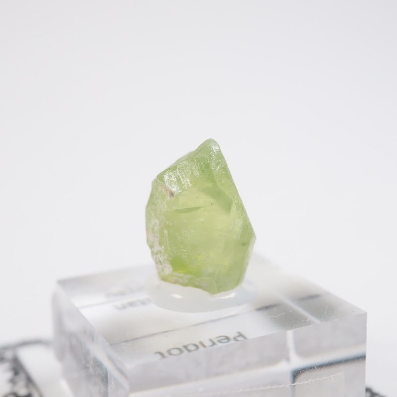 �ѥ������󻺡��ڥ�ɥå�