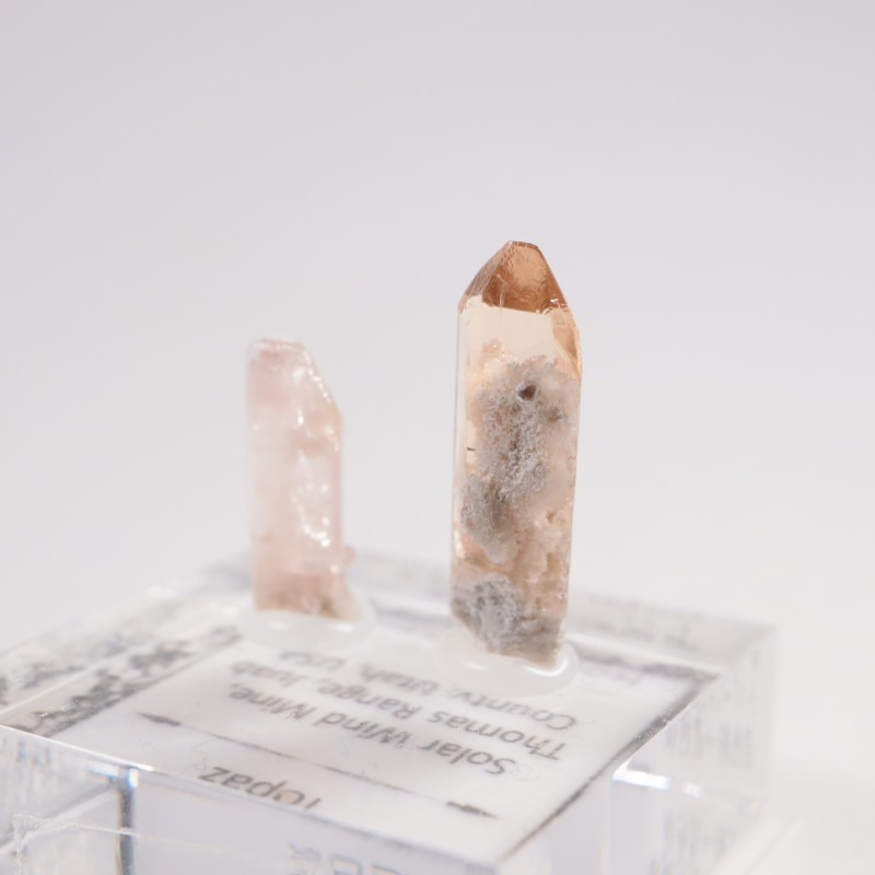 �楿���� �ȥѡ���