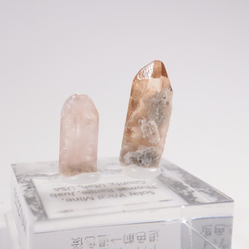 �楿���� �ȥѡ���