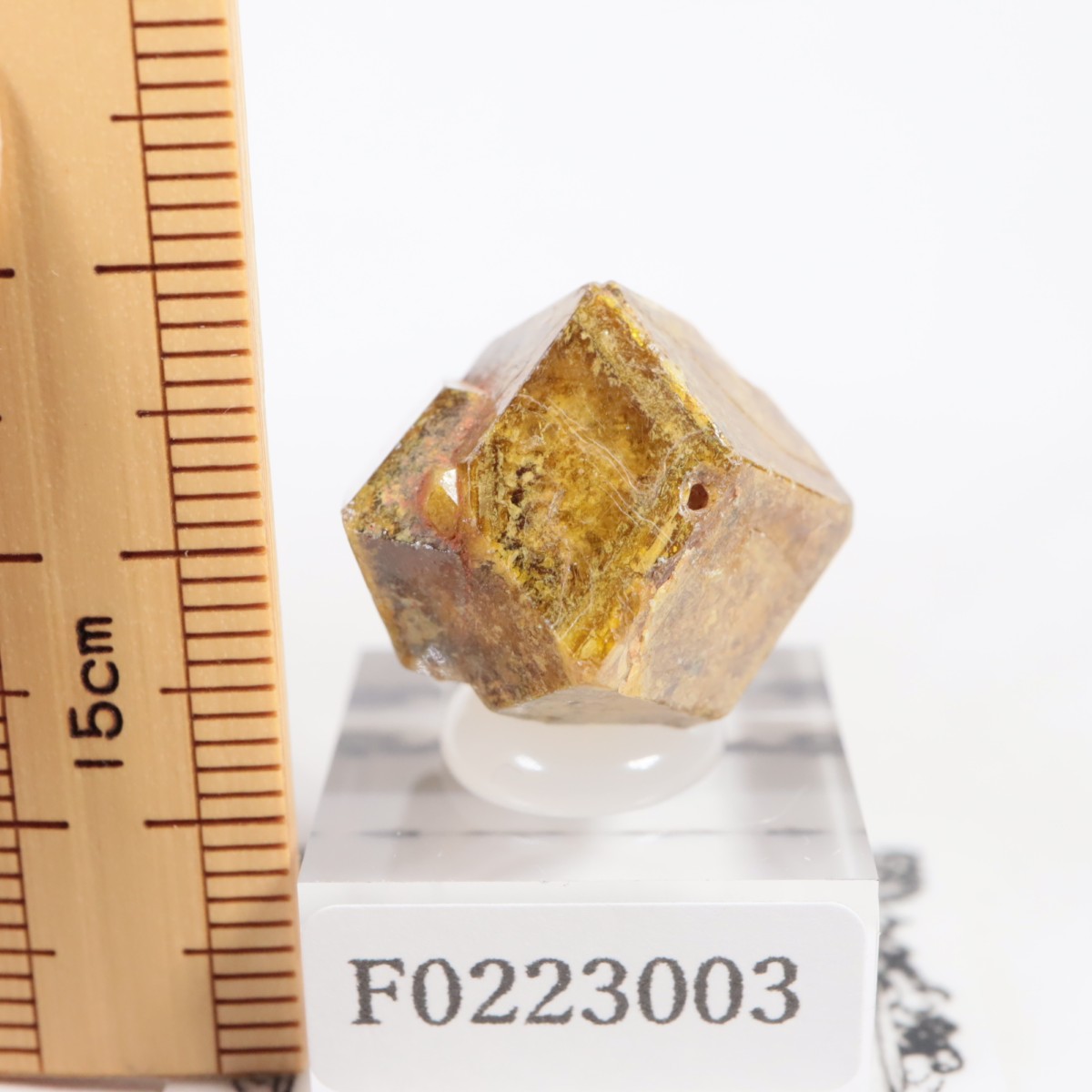 �ޥ껺 �����ͥå�