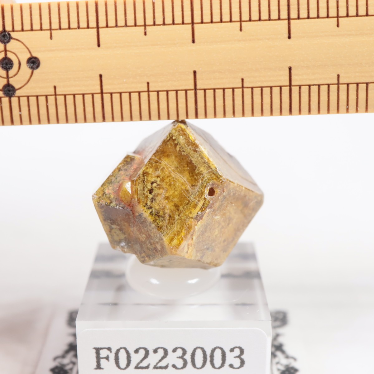 �ޥ껺 �����ͥå�