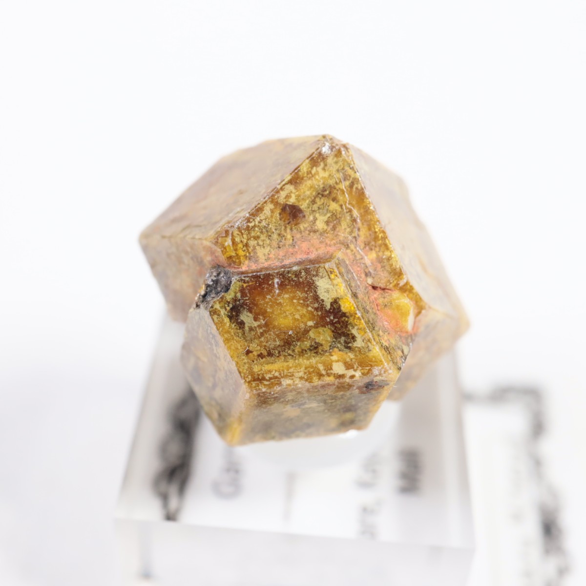 �ޥ껺 �����ͥå�