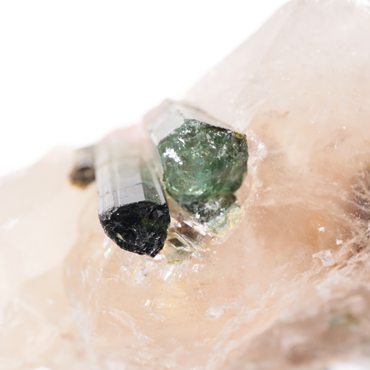 ブラジル産 トルマリン | 鉱物標本,タ行,トルマリン/電気石 | ほたるみ