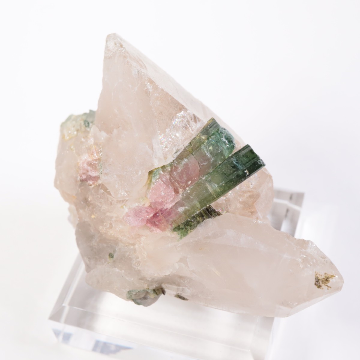 �֥饸�뻺 �ȥ�ޥ��