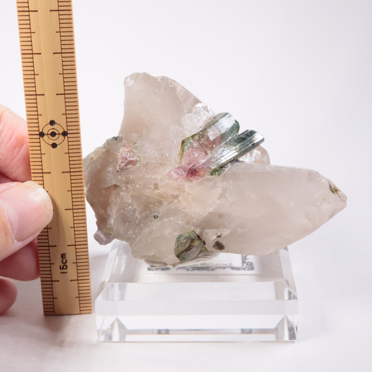 ブラジル産 トルマリン | 鉱物標本,タ行,トルマリン/電気石 | ほたるみ