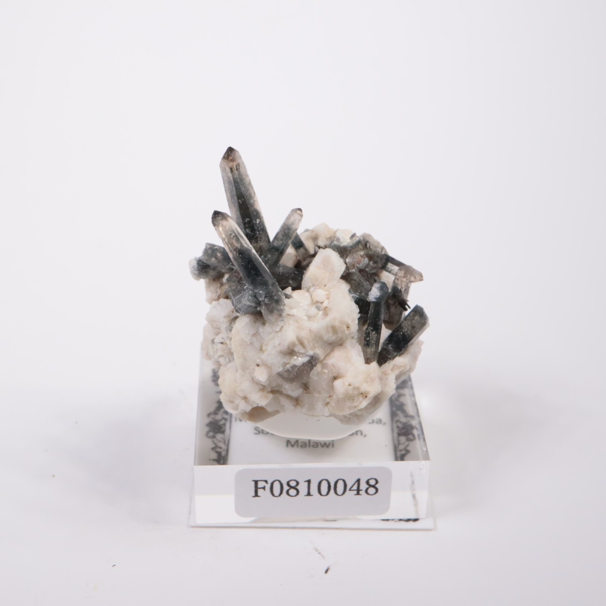 �ޥ饦���� ���⡼������������