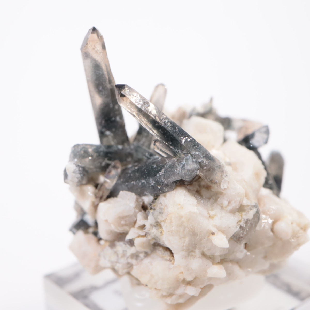 �ޥ饦���� ���⡼������������