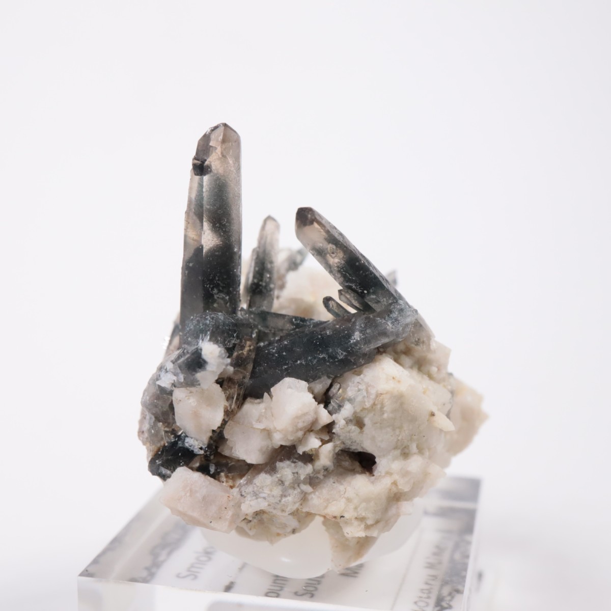 �ޥ饦���� ���⡼������������