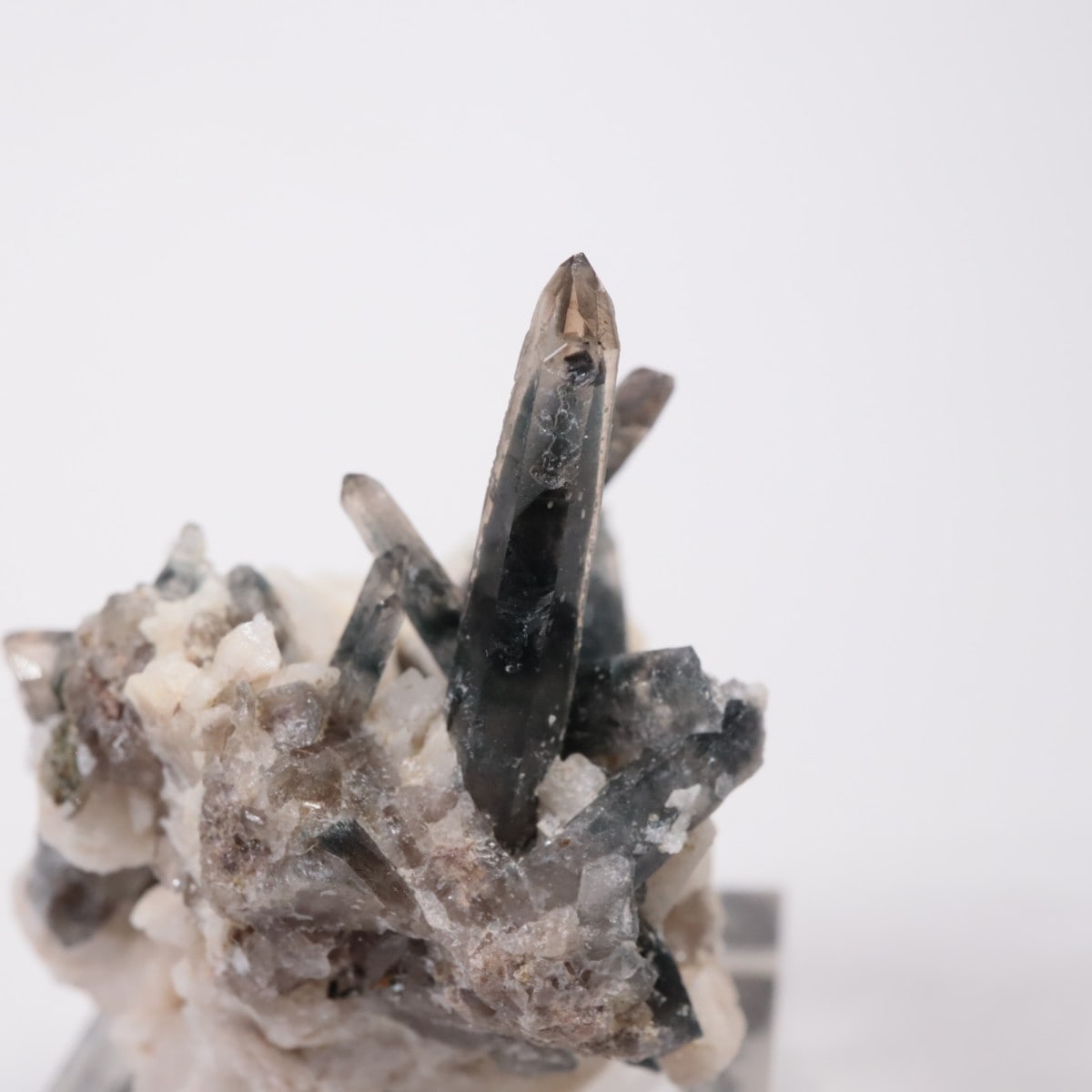 �ޥ饦���� ���⡼������������