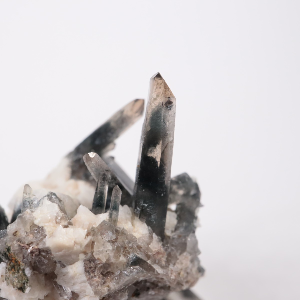 �ޥ饦���� ���⡼������������