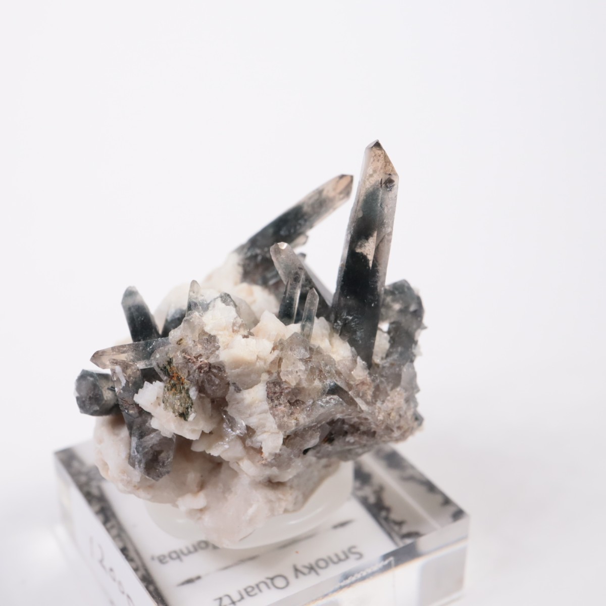 �ޥ饦���� ���⡼������������