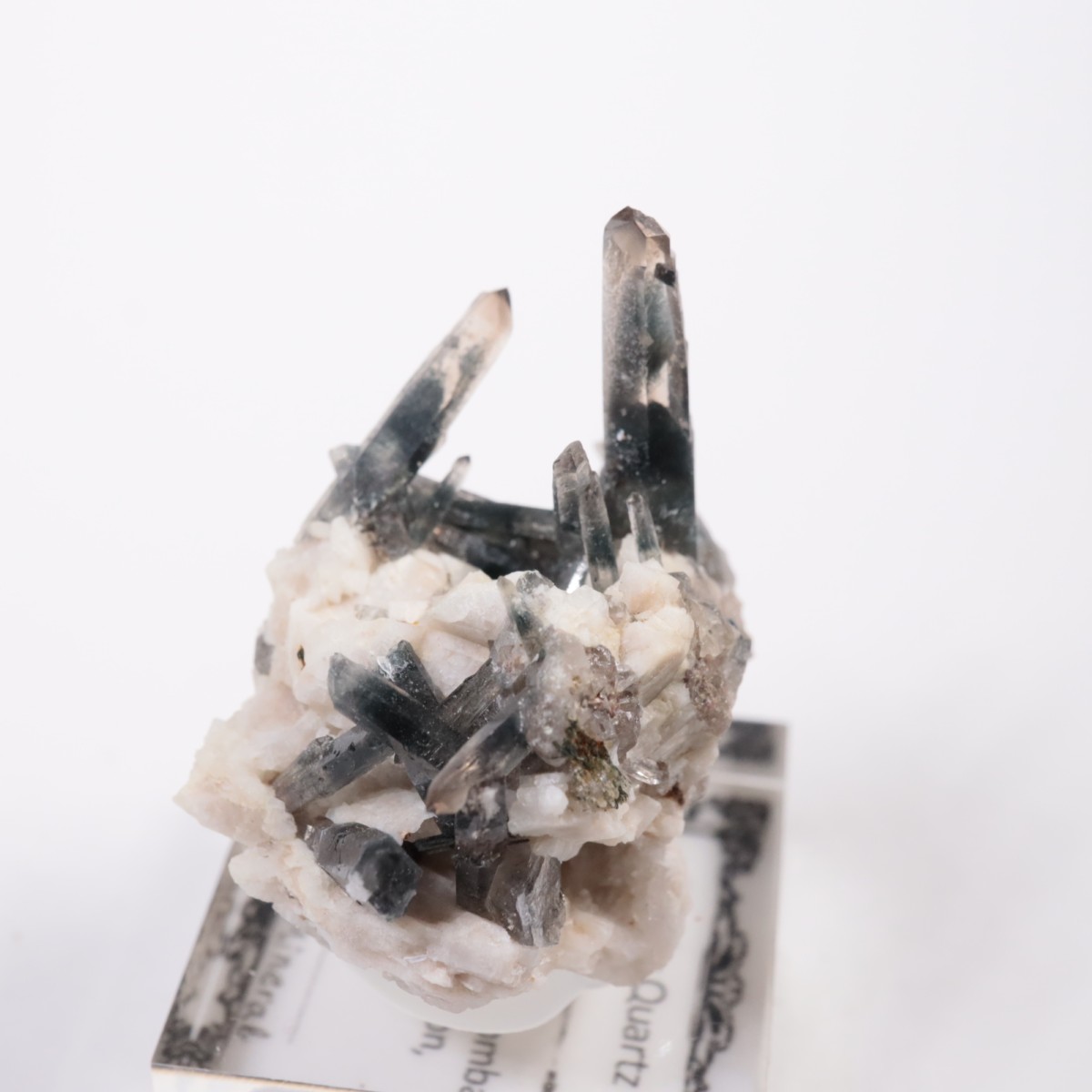 �ޥ饦���� ���⡼������������