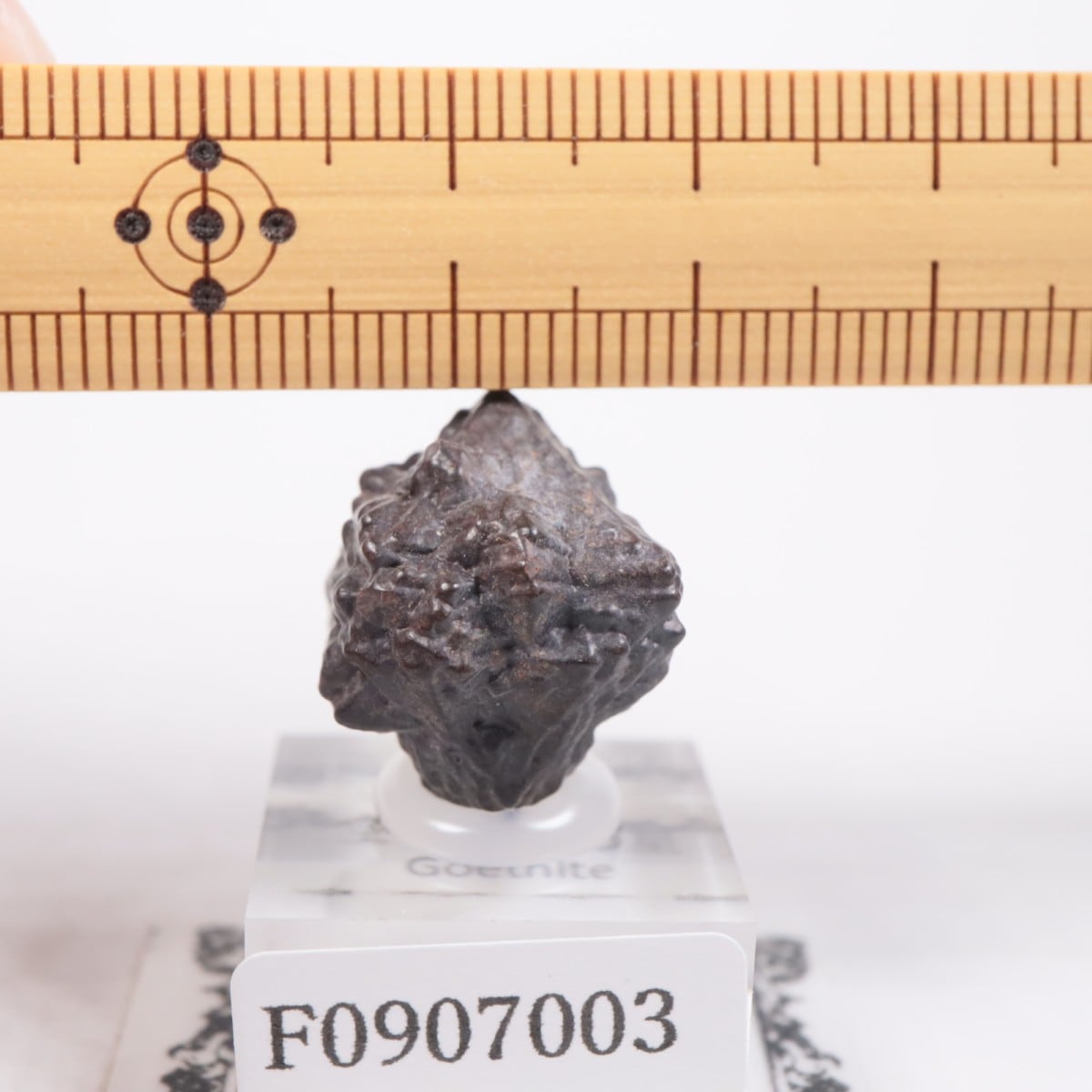 雪の結晶模様 香合 貝殻製 キシリトールの結晶｜さとうかよこ（きらら舎）