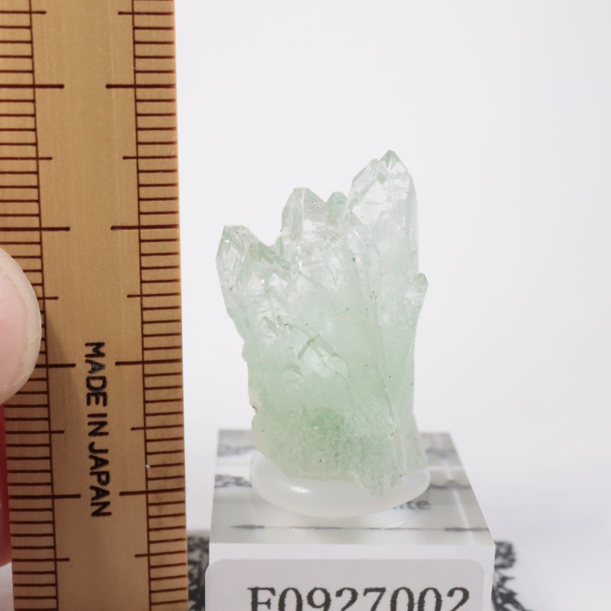 ����ɻ� ���ݥե��饤��