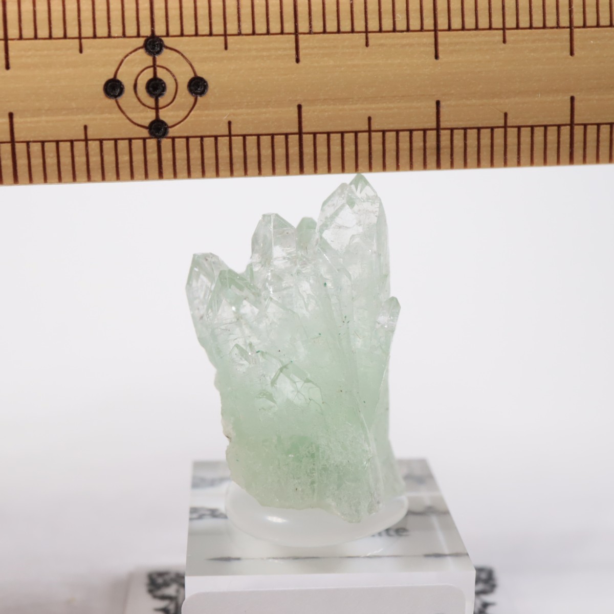 ����ɻ� ���ݥե��饤��