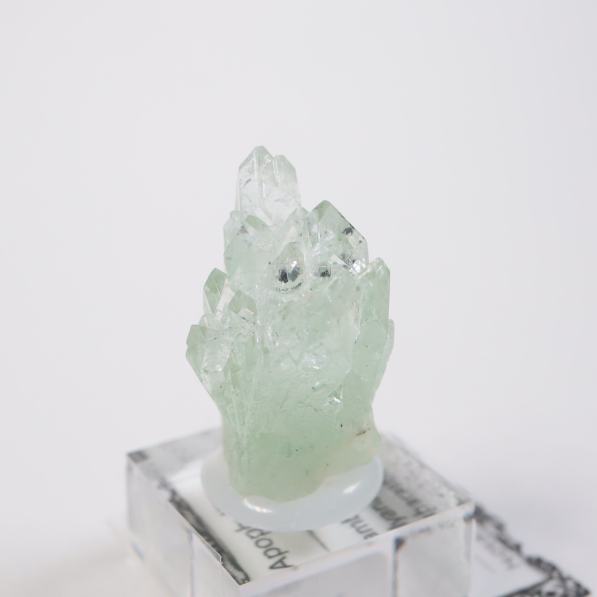 ����ɻ� ���ݥե��饤��