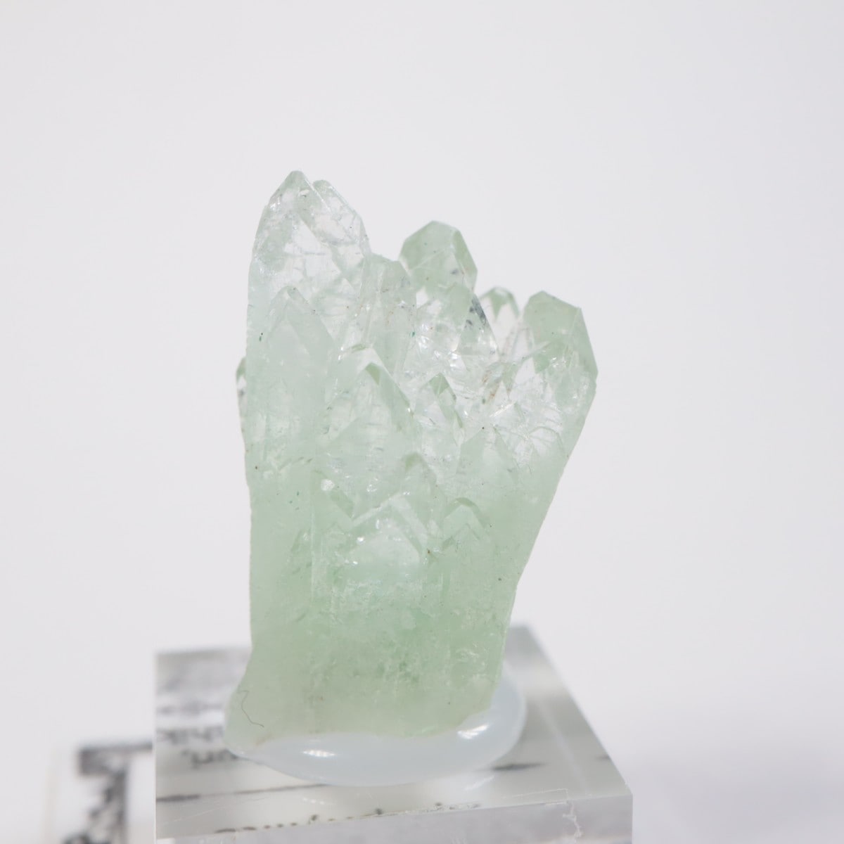 ����ɻ� ���ݥե��饤��