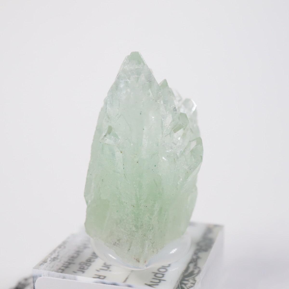 ����ɻ� ���ݥե��饤��