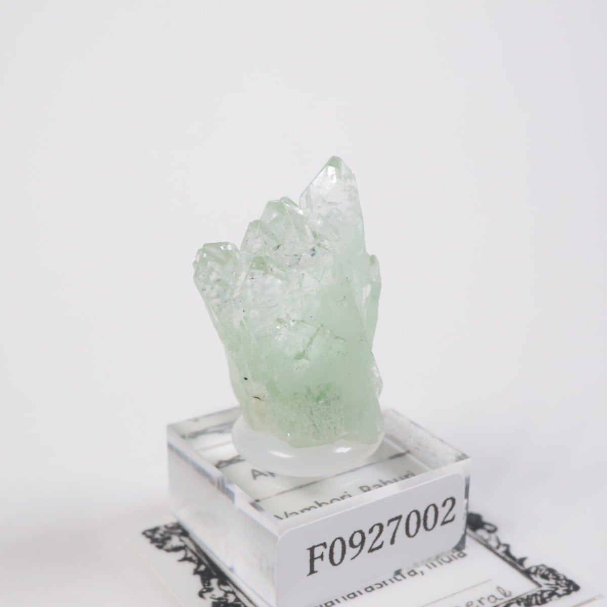 ����ɻ� ���ݥե��饤��