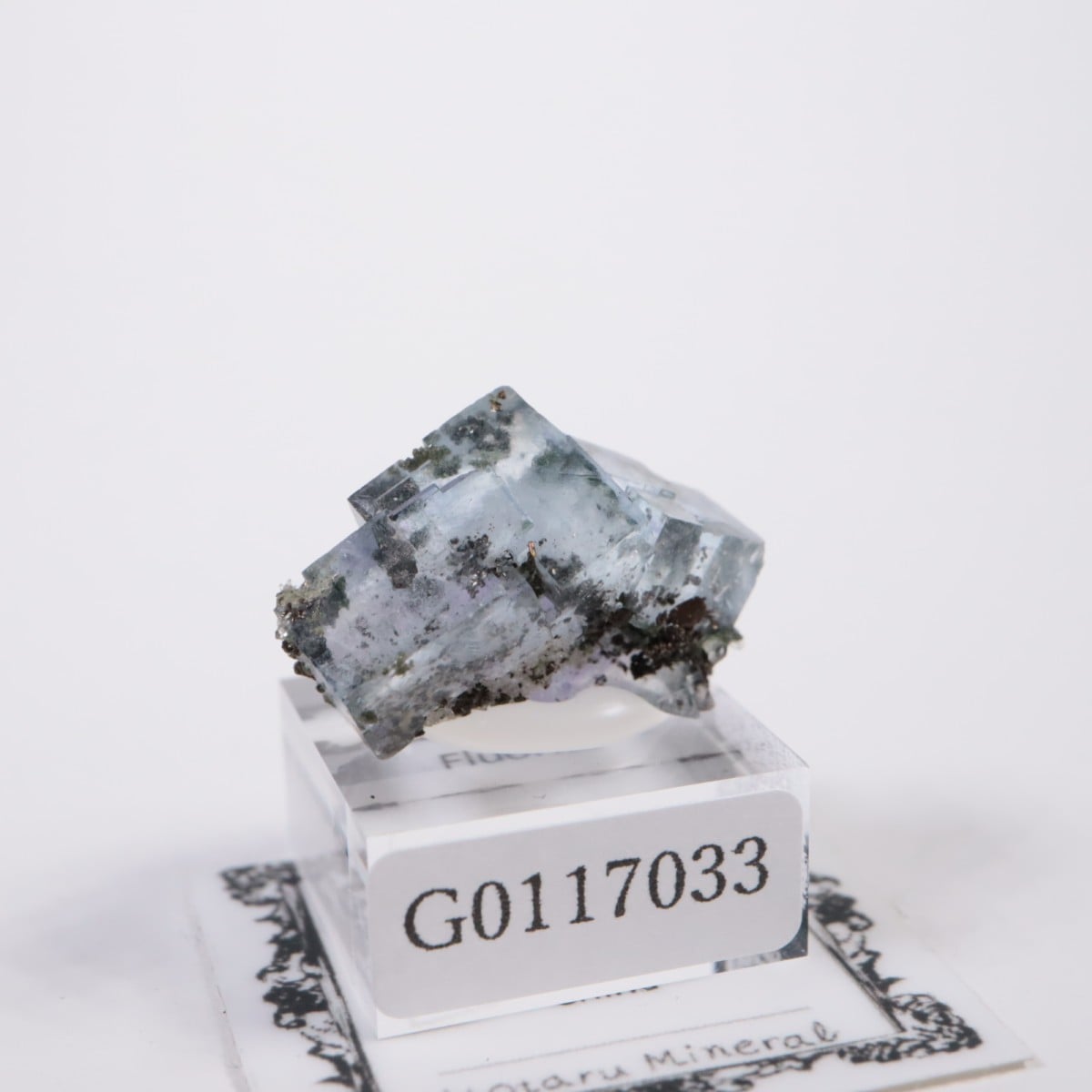 ヤオガンシャン鉱山 フローライト | 鉱物標本,ハ行,フローライト/蛍石