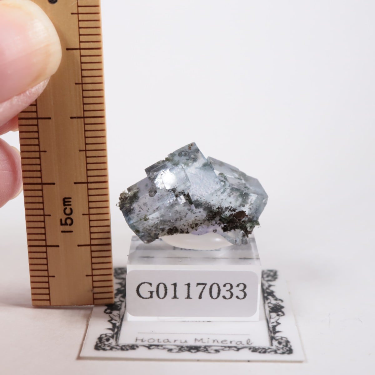 ヤオガンシャン鉱山 フローライト | 鉱物標本,ハ行,フローライト/蛍石