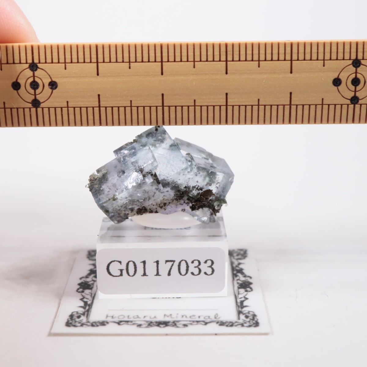 �䥪���󥷥��ۻ� �ե����饤��