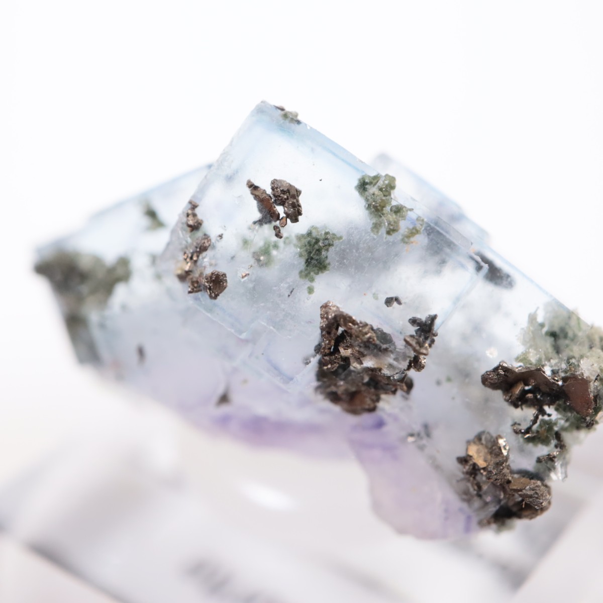 �䥪���󥷥��ۻ� �ե����饤��