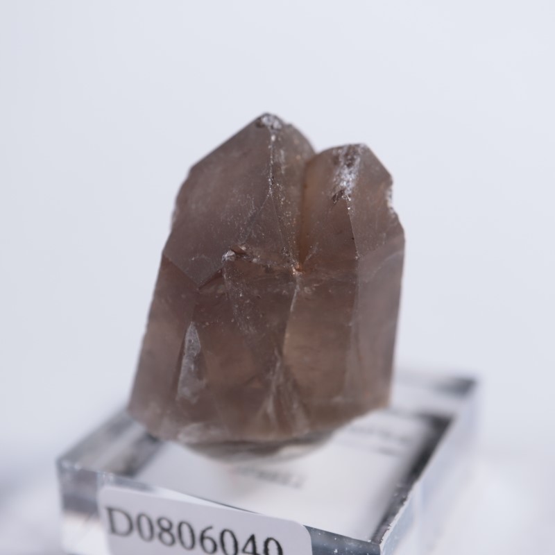 �֥饸�뻺�����⡼������������