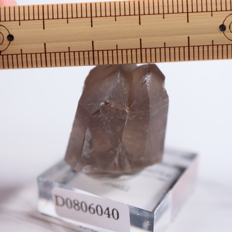 �֥饸�뻺�����⡼������������