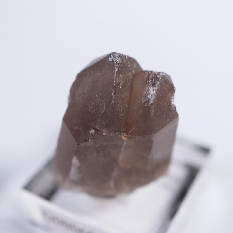 �֥饸�뻺�����⡼������������