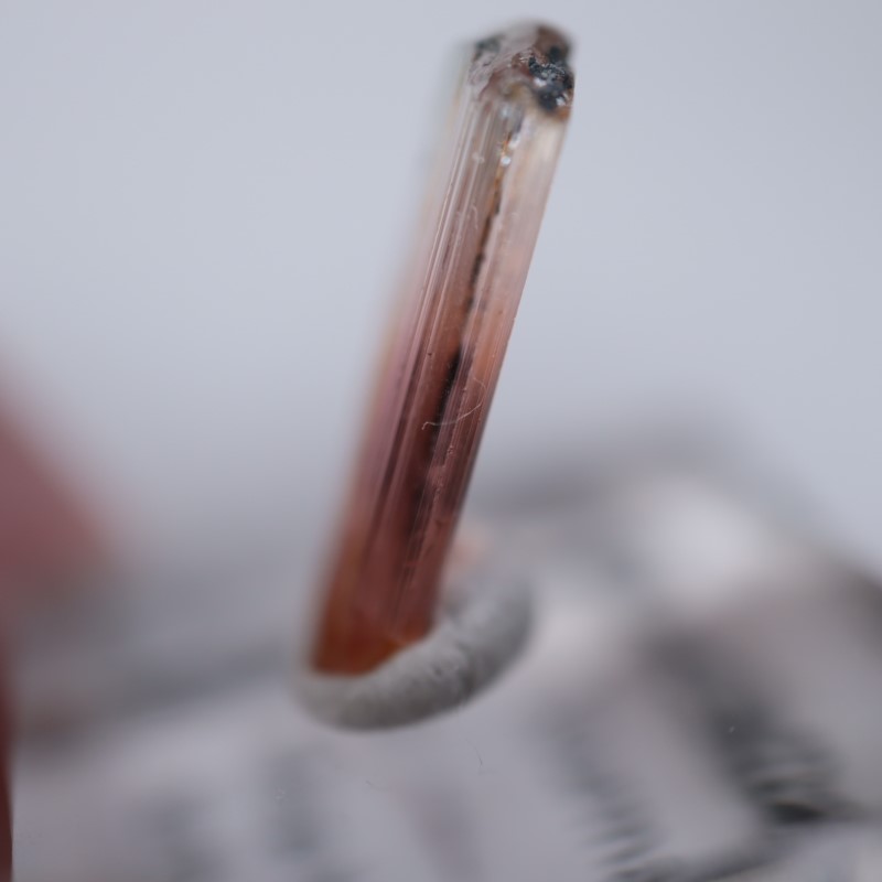 ���󥴻����ȥ�ޥ��