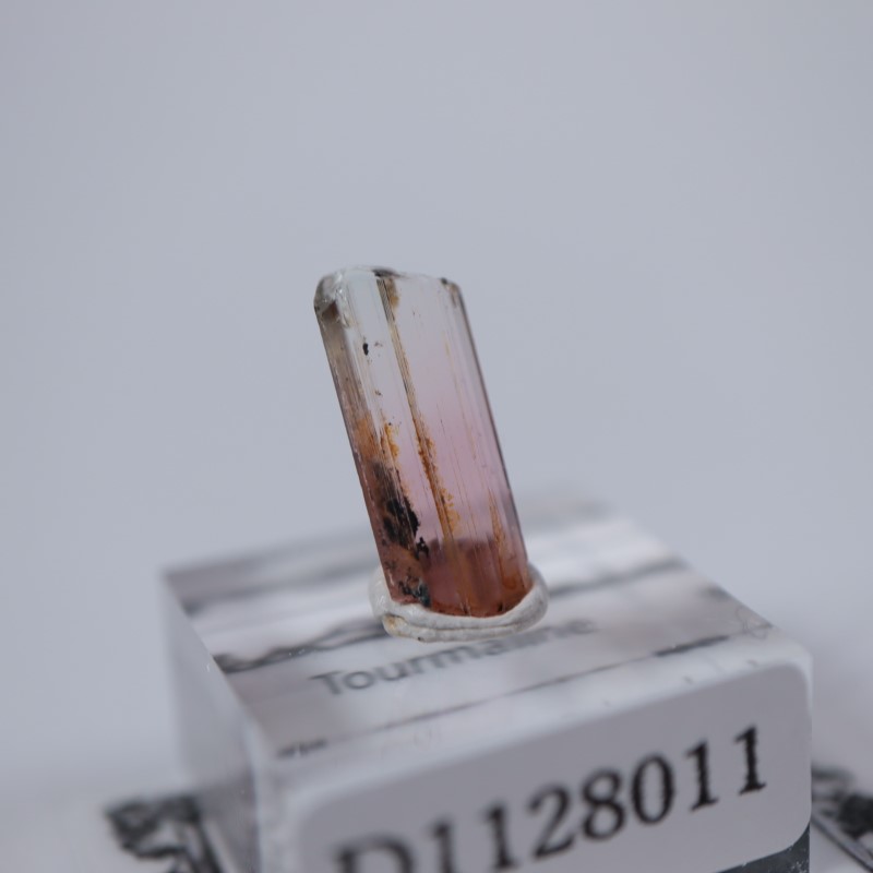 ���󥴻����ȥ�ޥ��