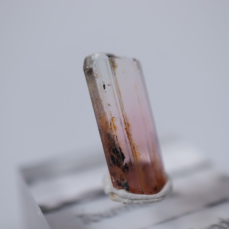 ���󥴻����ȥ�ޥ��