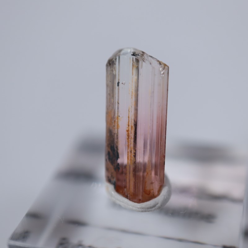 ���󥴻����ȥ�ޥ��